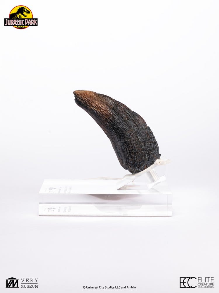 Jurassic Park 1/1 Replik Velociraptor Toenail Type A 11 cm - Preorder - ETA: 25.02.2027