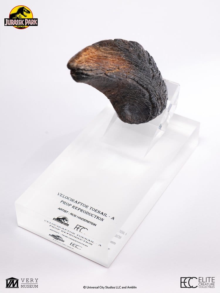 Jurassic Park 1/1 Replik Velociraptor Toenail Type A 11 cm - Preorder - ETA: 25.02.2027