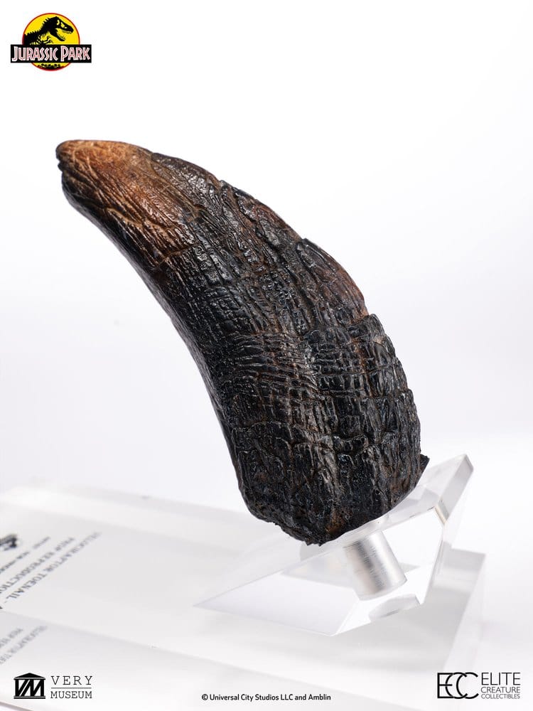 Jurassic Park 1/1 Replik Velociraptor Toenail Type A 11 cm - Preorder - ETA: 25.02.2027