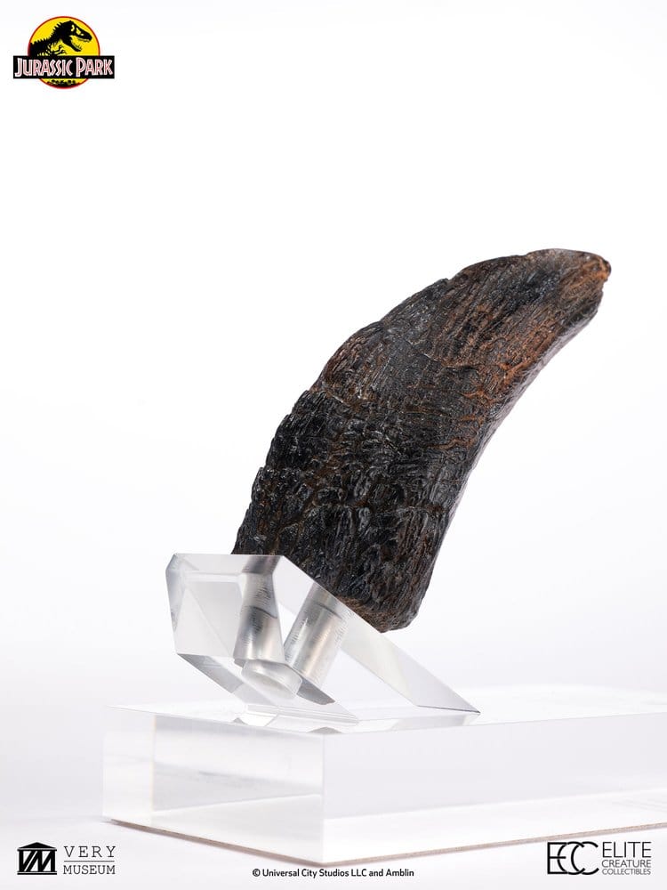 Jurassic Park 1/1 Replik Velociraptor Toenail Type A 11 cm - Preorder - ETA: 25.02.2027