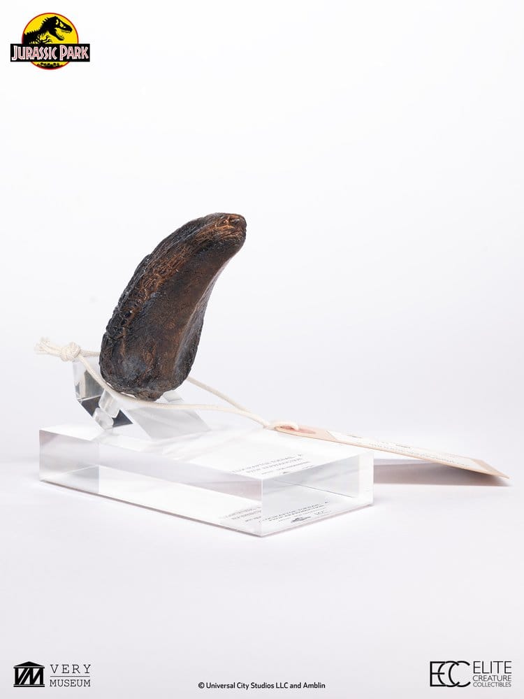 Jurassic Park 1/1 Replik Velociraptor Toenail Type A 11 cm - Preorder - ETA: 25.02.2027