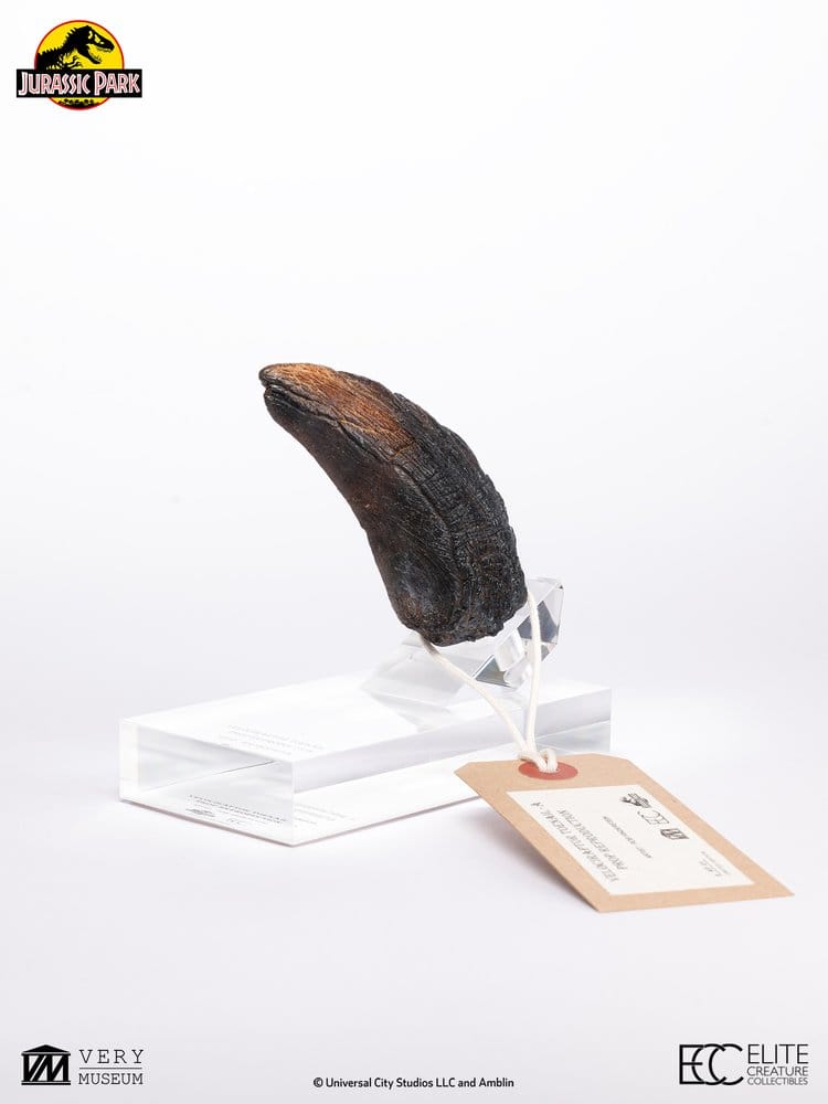 Jurassic Park 1/1 Replik Velociraptor Toenail Type A 11 cm - Preorder - ETA: 25.02.2027