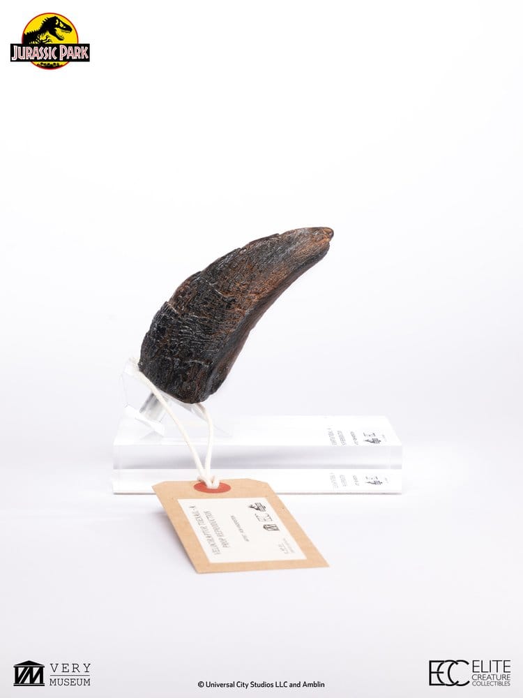 Jurassic Park 1/1 Replik Velociraptor Toenail Type A 11 cm - Preorder - ETA: 25.02.2027