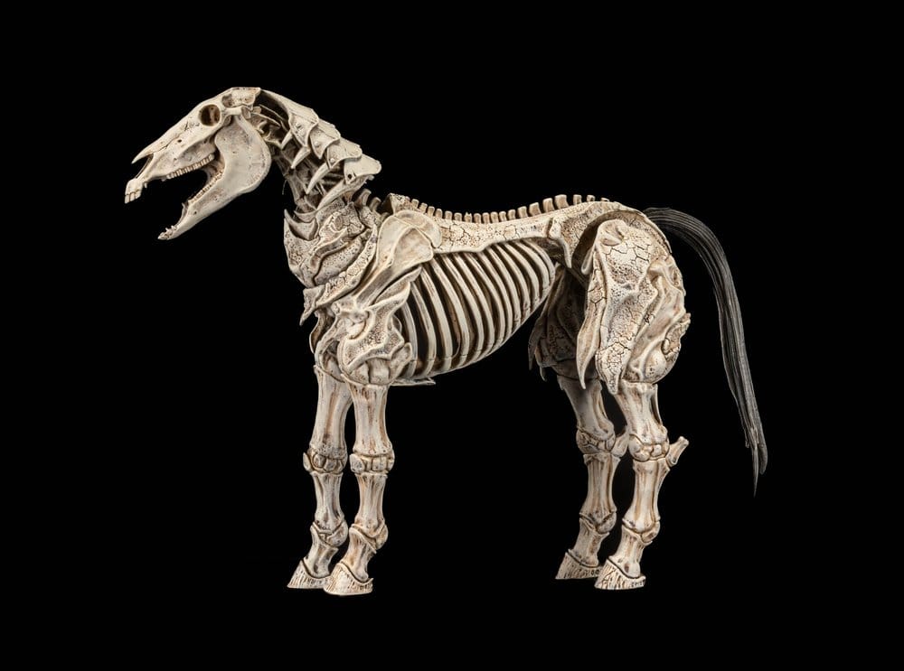 Mythic Legions: Reinforcement 3 Actionfigur Skeleton Steed Legion Builder - Preorder - ETA: 25.08.2027
