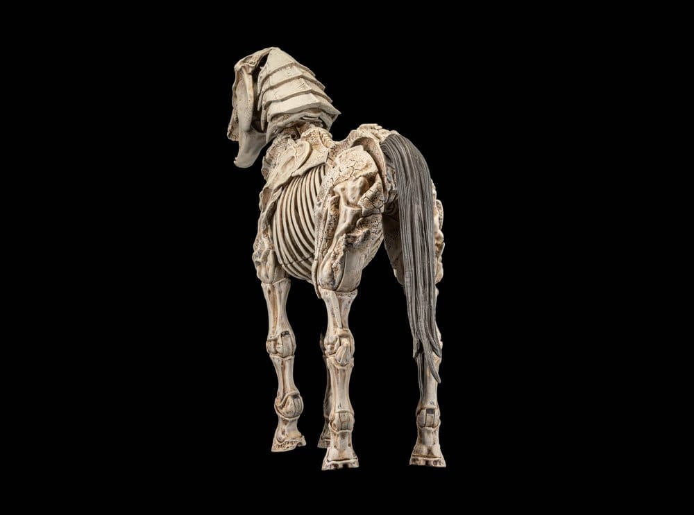 Mythic Legions: Reinforcement 3 Actionfigur Skeleton Steed Legion Builder - Preorder - ETA: 25.08.2027