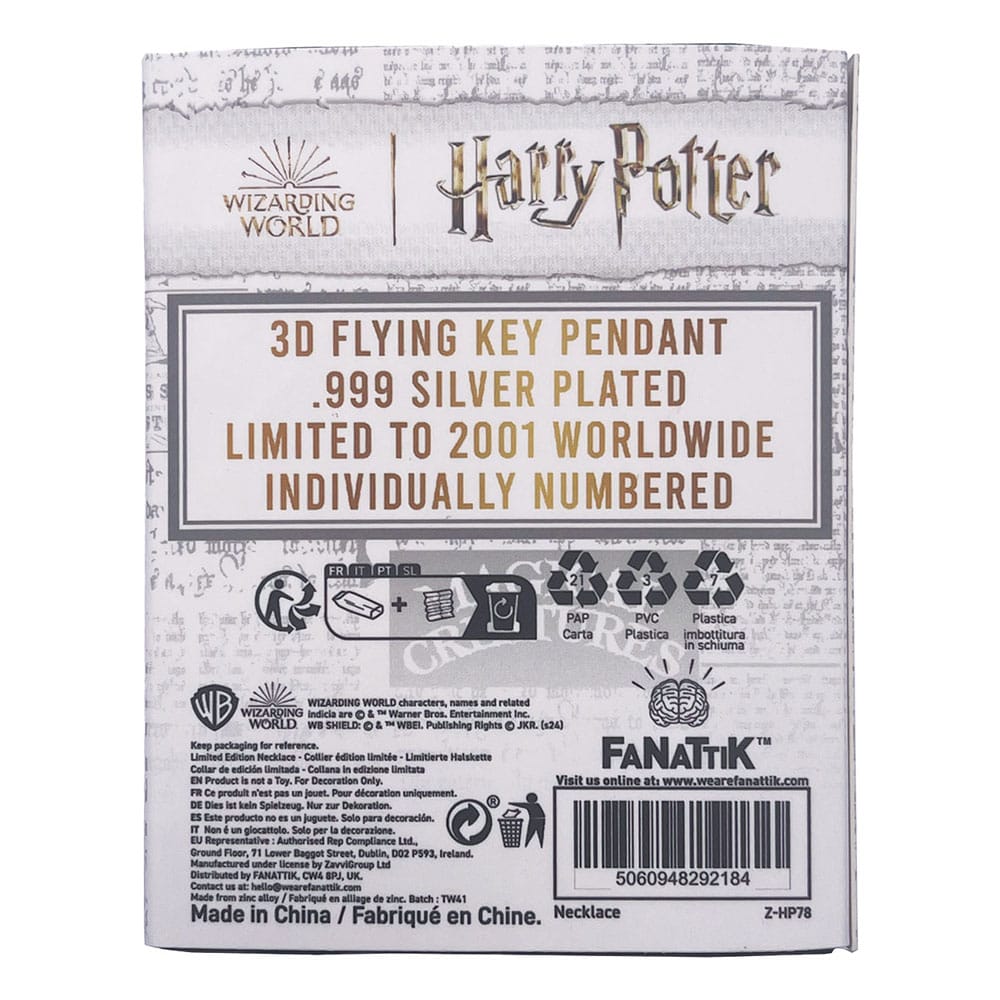 Harry Potter Halskette & Anhänger Flying Key  - Versand: 5-7 Tage nach Bestellung