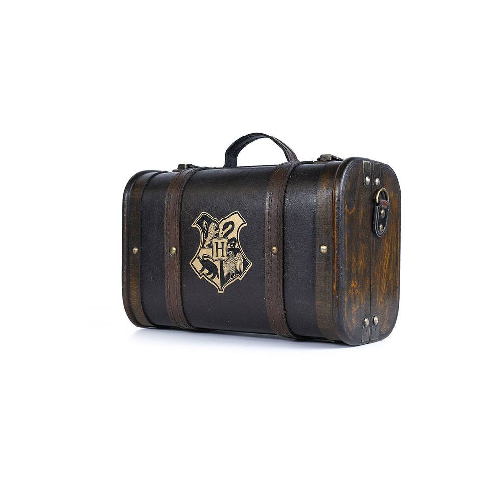 Harry Potter Geschenkbox Trouble Finds Me - Preorder - ETA: 12.09.2025