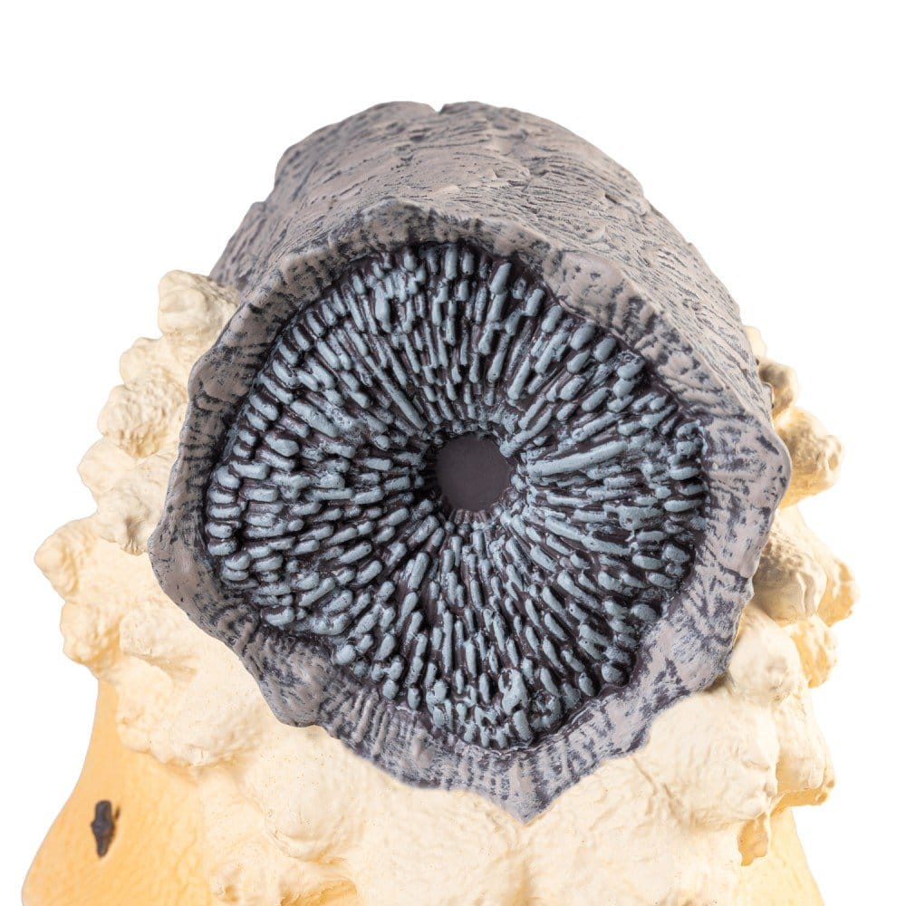 Dune Buchstützen 17 cm - Preorder - ETA: 24.12.2026