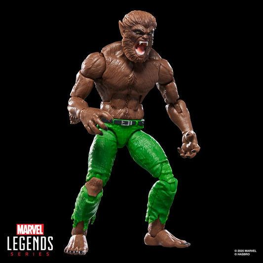 Marvel Legends Actionfigur Werewolf by Night (BAF: Executioner) 15 cm - Preorder - ETA: 25.12.2025