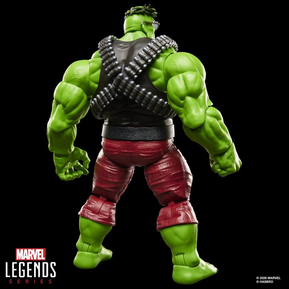 The Incredible Hulk Marvel Legends Actionfigur Professor Hulk 15 cm - Preorder - ETA: 25.08.2026