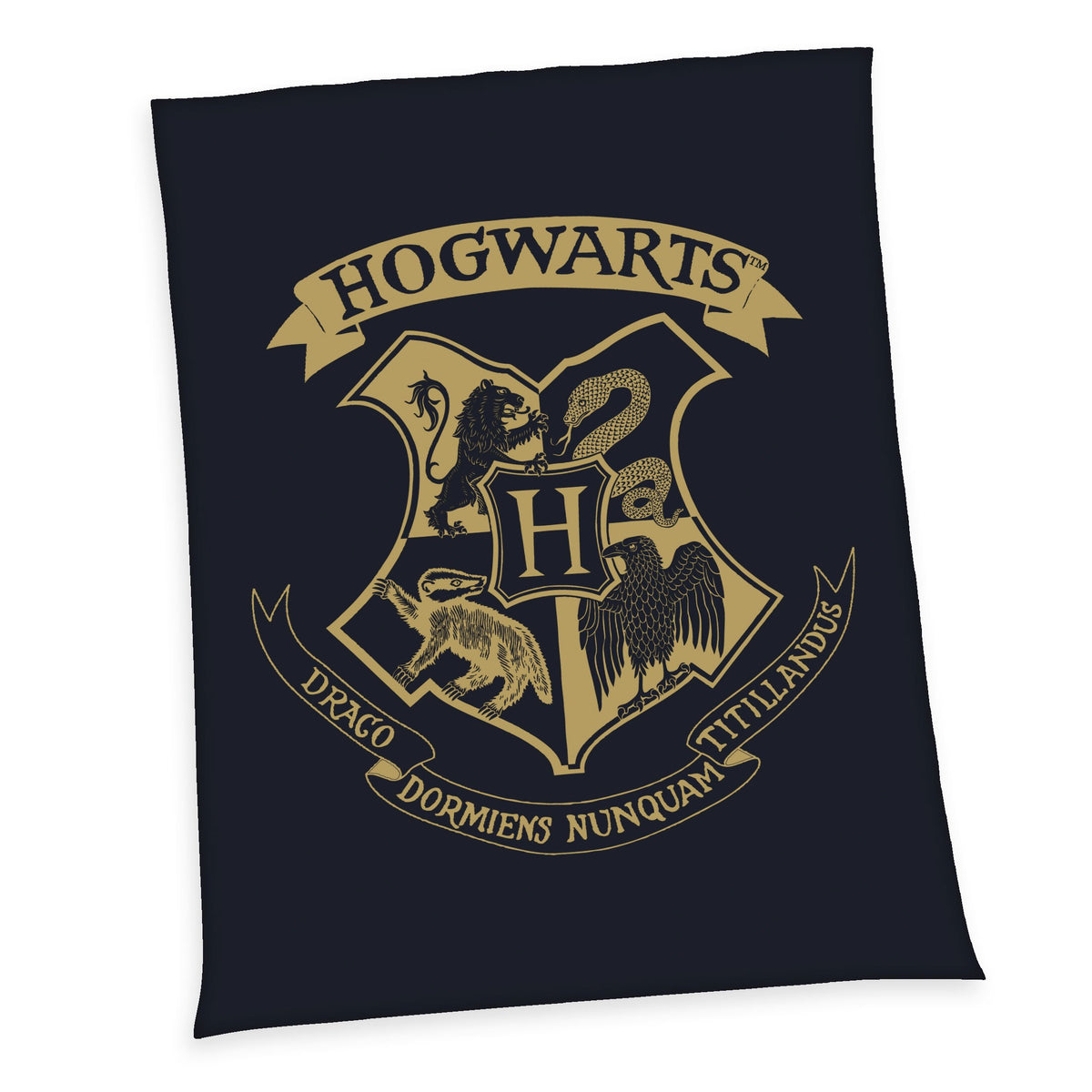 Harry Potter Fleecedecke Hogwarts 150 x 200 cm - Preorder - ETA: 15.11.2026