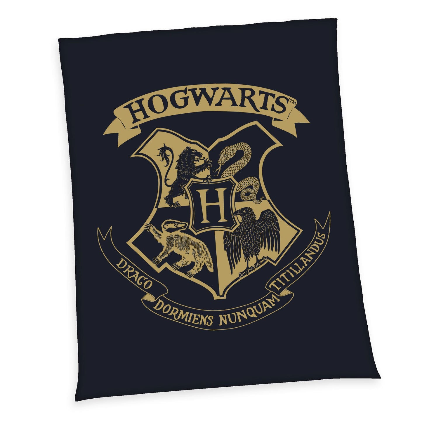 Harry Potter Fleecedecke Hogwarts 150 x 200 cm - Versand: 7 Tage nach Bestellung