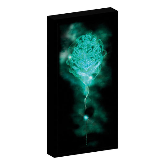 Harry Potter Canvas Poster (With Light)  - Versand: 5-7 Tage nach Bestellung