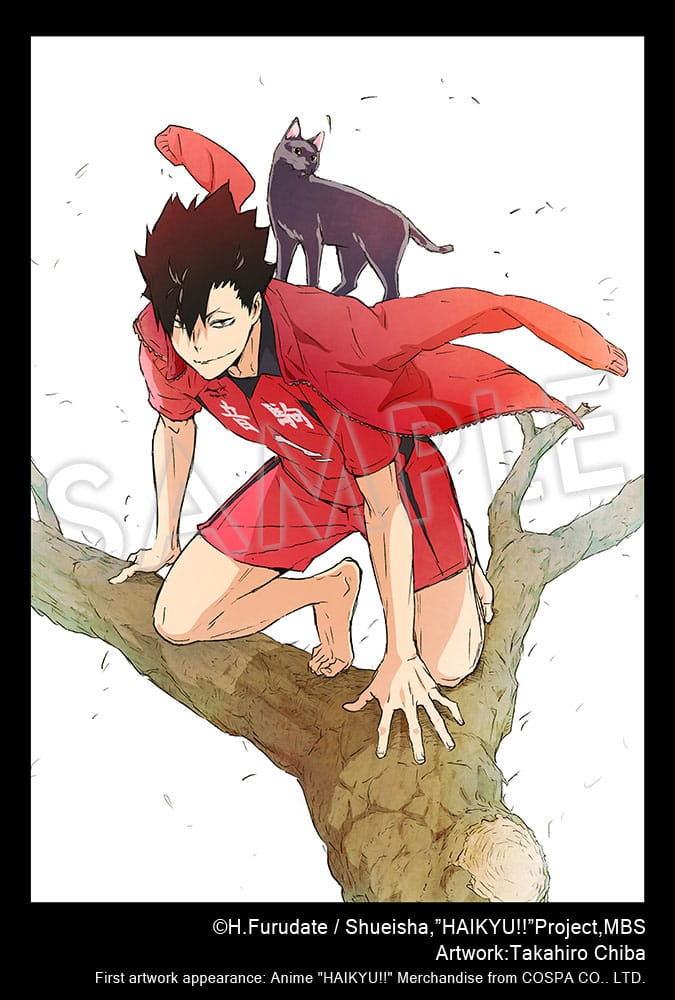 Haikyu!! ARTFXJ Statue 1/8 Tetsuro Kuroo 24 cm - Versand: 7 Tage nach Bestellung