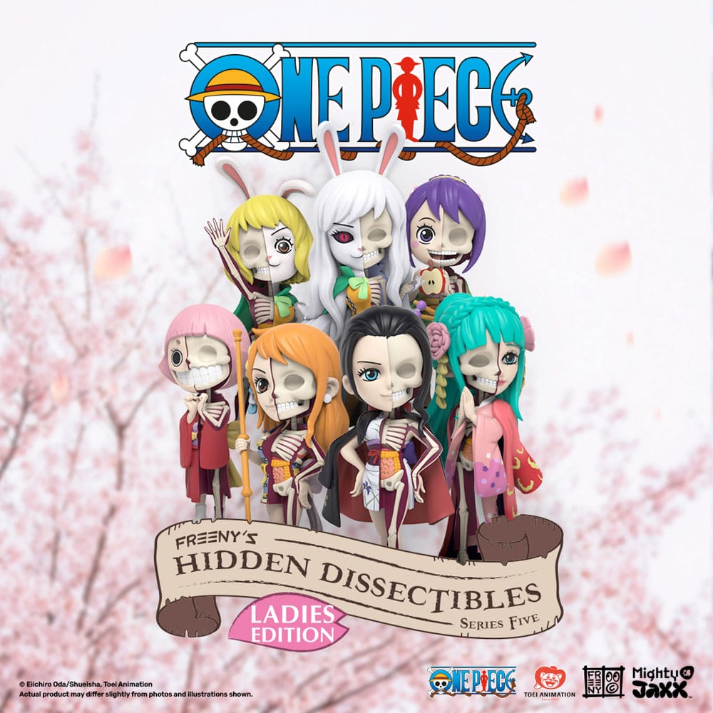 One Piece Hidden Dissectibles Series 5 (Ladies ed.) - Blind Box (1) - random selection - sofort lieferbar
