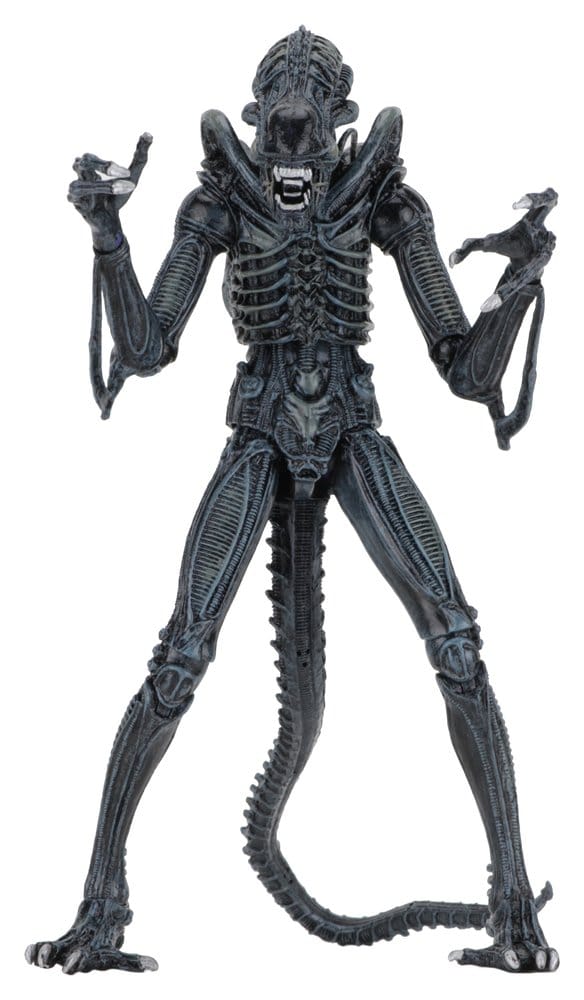 Aliens Ultimate Actionfigur Warrior (1986) Blue 23 cm - Preorder - ETA: 25.11.2026