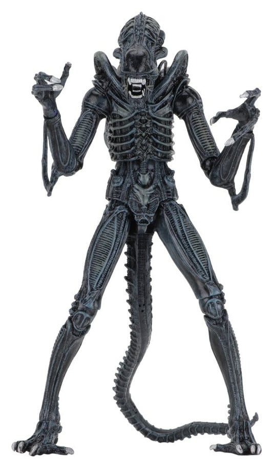 Aliens Ultimate Actionfigur Warrior (1986) Blue 23 cm - Preorder - ETA: 25.11.2026
