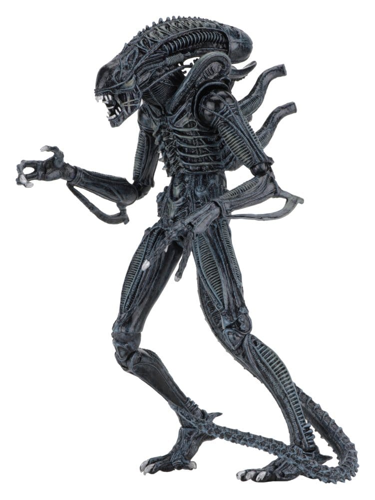Aliens Ultimate Actionfigur Warrior (1986) Blue 23 cm - Preorder - ETA: 25.11.2026