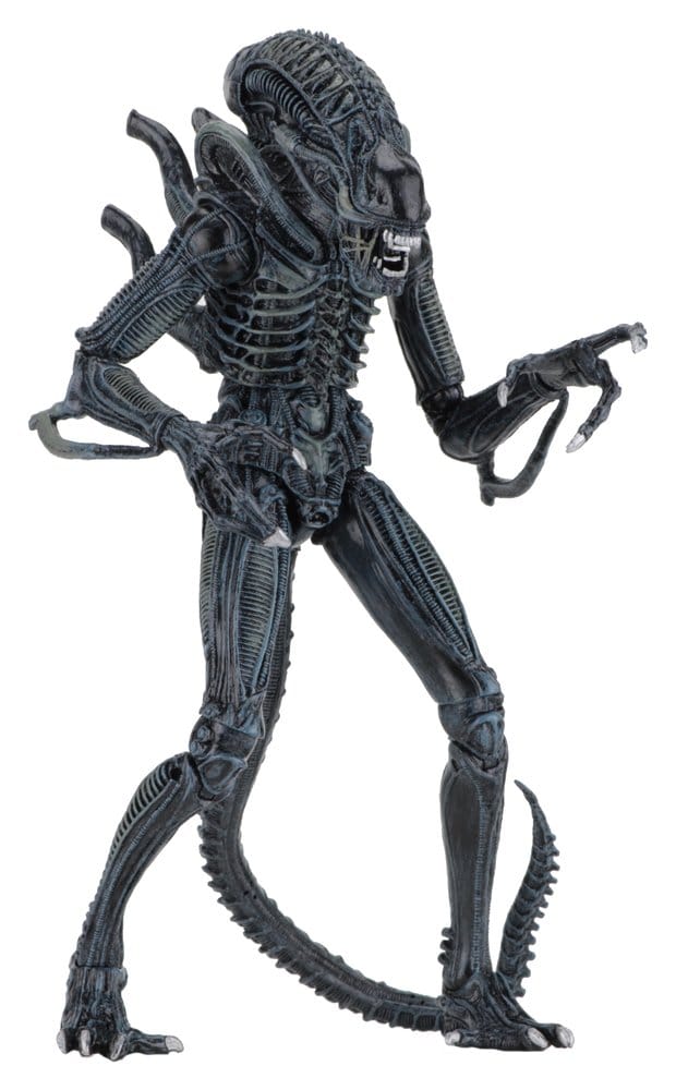 Aliens Ultimate Actionfigur Warrior (1986) Blue 23 cm - Preorder - ETA: 25.11.2026