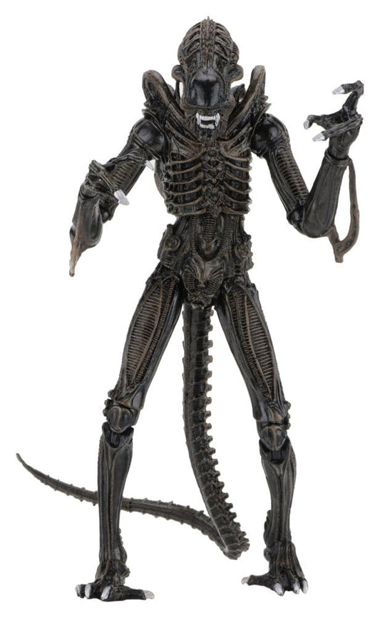 Aliens Ultimate Actionfigur Warrior (1986) Brown 23 cm - Preorder - ETA: 25.11.2026