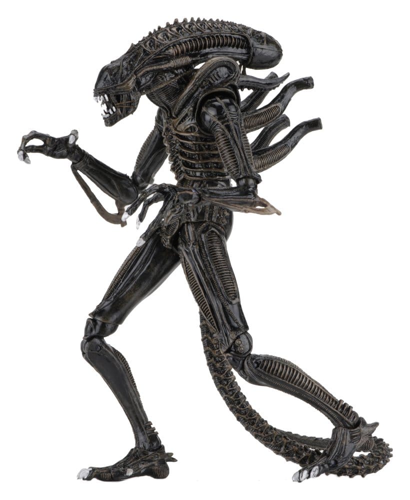 Aliens Ultimate Actionfigur Warrior (1986) Brown 23 cm - Preorder - ETA: 25.11.2026