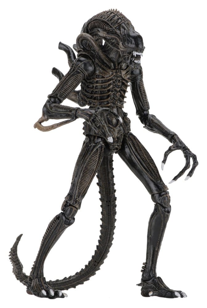 Aliens Ultimate Actionfigur Warrior (1986) Brown 23 cm - Preorder - ETA: 25.11.2026