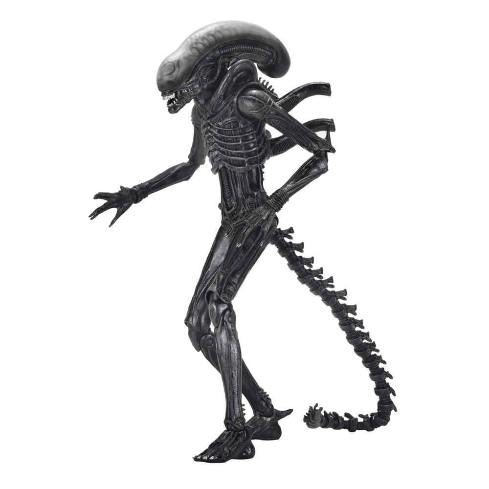 Alien: Romulus Actionfigur Ultimate Xenomorph XX121 18 cm - Preorder - ETA: 25.11.2025