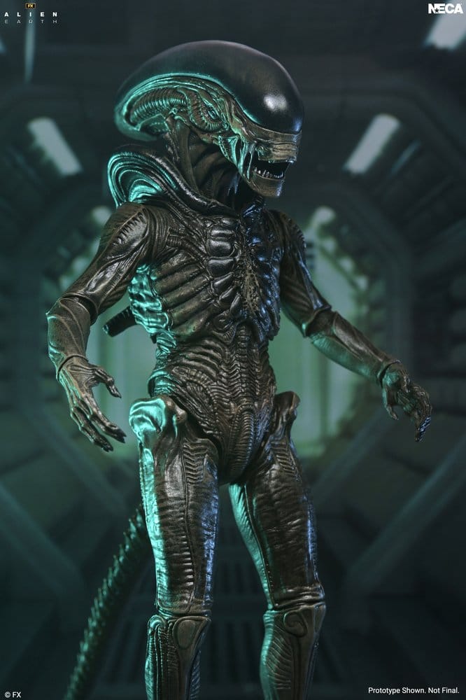 Alien: Earth Ultimate Actionfigur Xenomorph 18 cm - Preorder - ETA: 25.05.2027