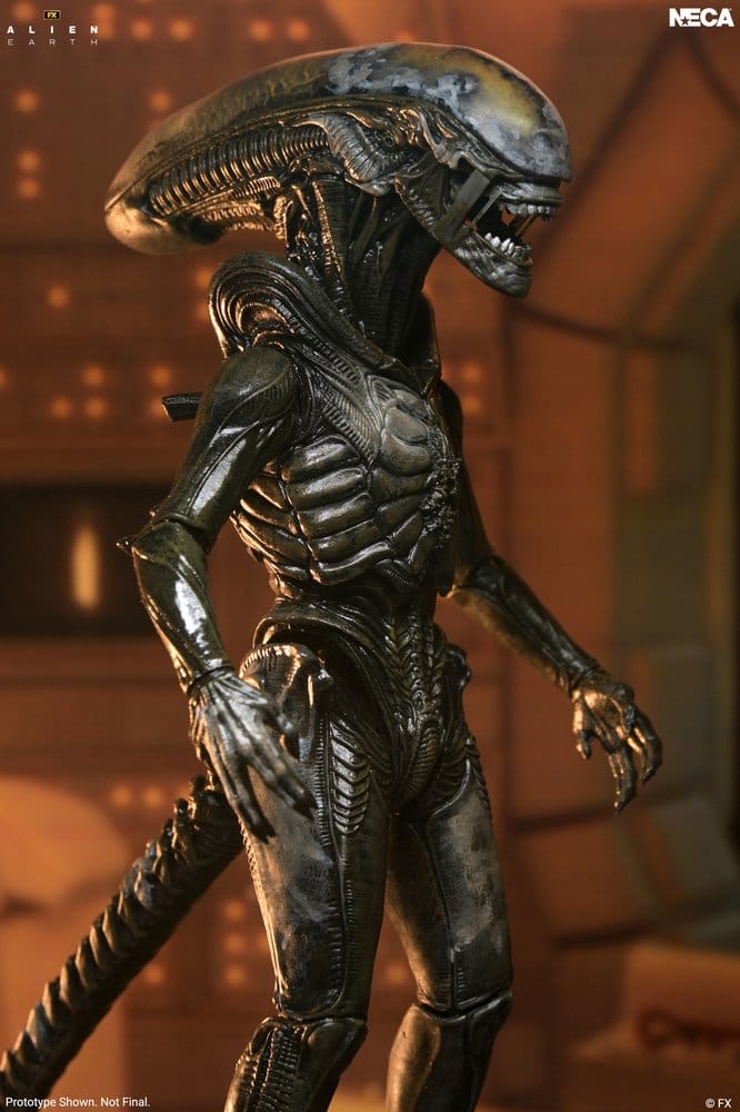 Alien: Earth Ultimate Actionfigur Wendy's Xenomorph 18 cm - Preorder - ETA: 25.05.2027