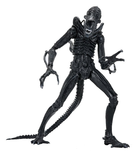 Aliens Ultimate Actionfigur Warrior (1986) Xenomorph Black (40th Anniversary) 23 cm - Preorder - ETA: 25.11.2026