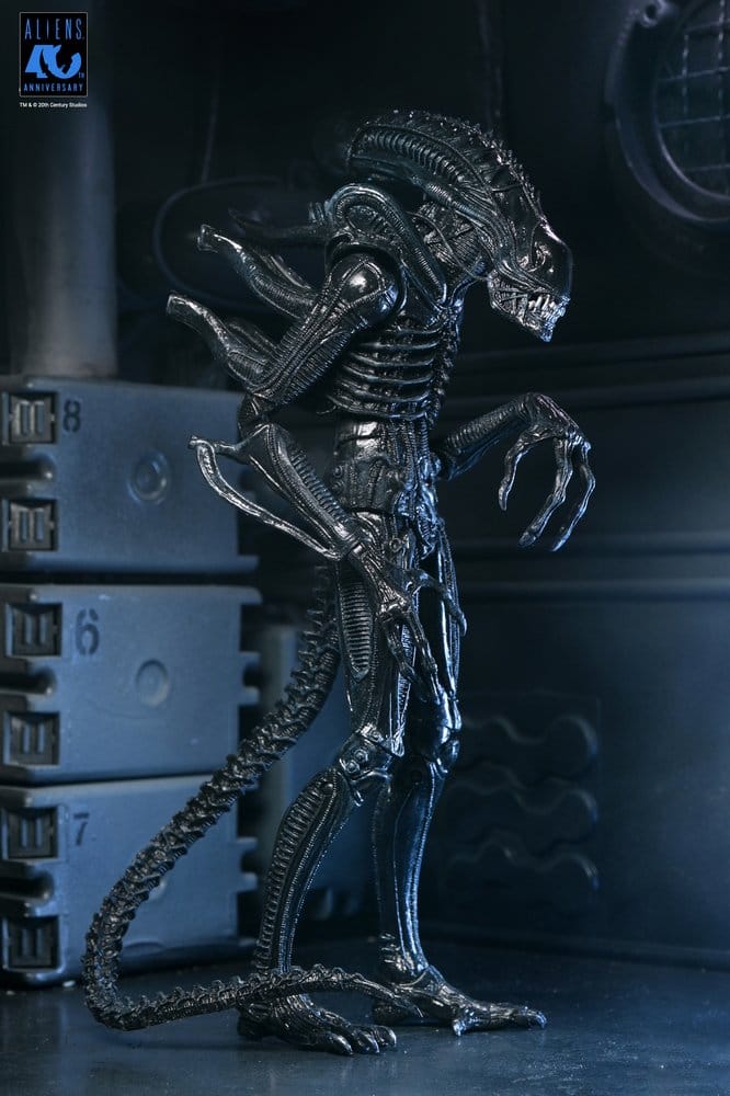 Aliens Ultimate Actionfigur Warrior (1986) Xenomorph Black (40th Anniversary) 23 cm - Preorder - ETA: 25.11.2026