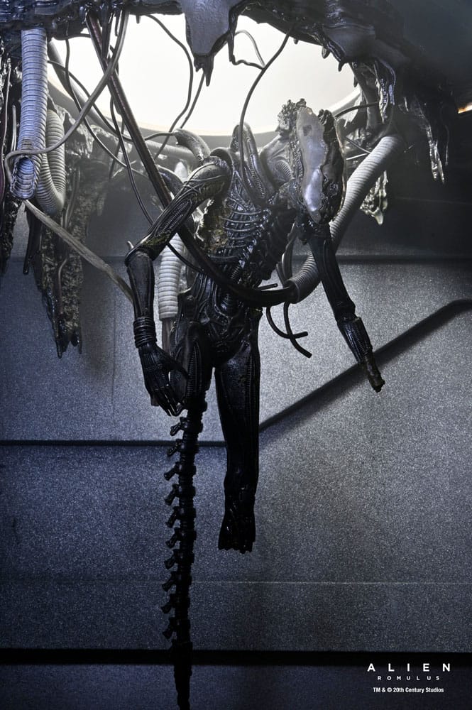 Alien: Romulus Actionfigur Deluxe Suspended Lab Xenomorph XX121 18 cm - Preorder - ETA: 30.12.2025