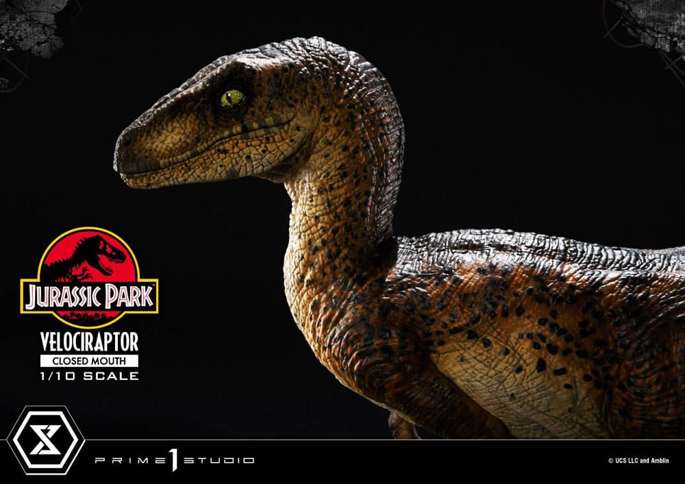 Jurassic Park Prime Collectibles Statue 1/10 Velociraptor Closed Mouth 19 cm - Preorder - ETA: 11.11.2025