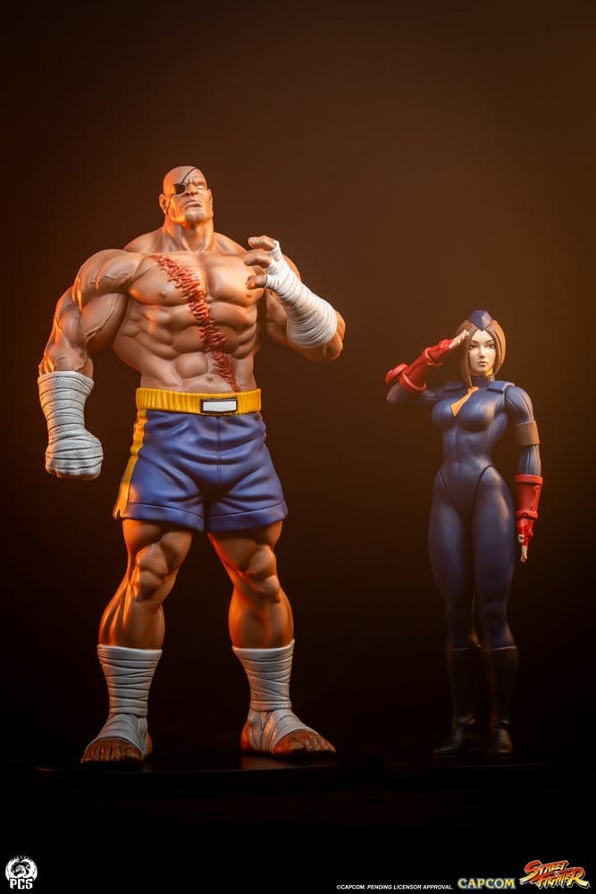 Street Fighter Street Jam Statuen 1/10 Sagat & Juli 24 cm  - Preorder - ETA: 25.02.2027