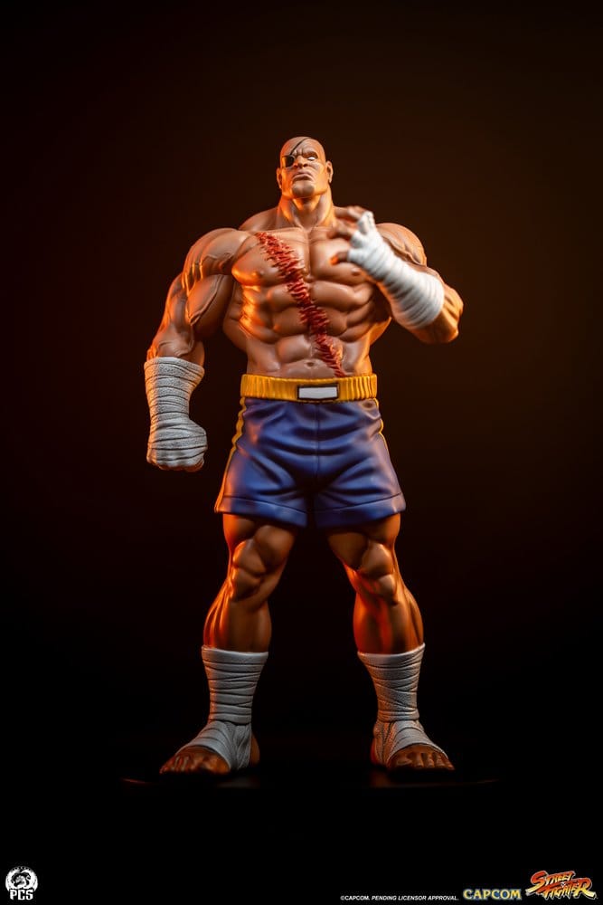 Street Fighter Street Jam Statuen 1/10 Sagat & Juli 24 cm  - Preorder - ETA: 25.02.2027
