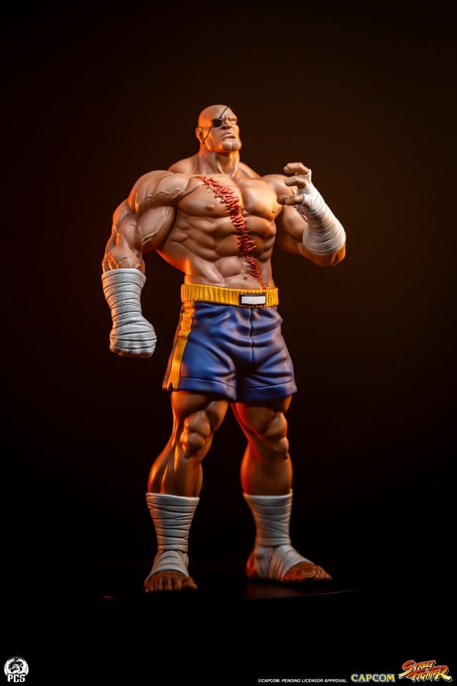 Street Fighter Street Jam Statuen 1/10 Sagat & Juli 24 cm  - Preorder - ETA: 25.02.2027