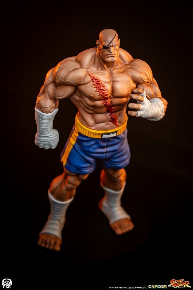 Street Fighter Street Jam Statuen 1/10 Sagat & Juli 24 cm  - Preorder - ETA: 25.02.2027
