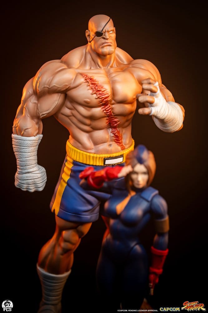 Street Fighter Street Jam Statuen 1/10 Sagat & Juli 24 cm  - Preorder - ETA: 25.02.2027