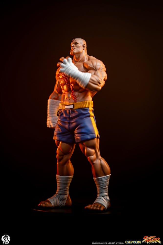 Street Fighter Street Jam Statuen 1/10 Sagat & Juli 24 cm  - Preorder - ETA: 25.02.2027