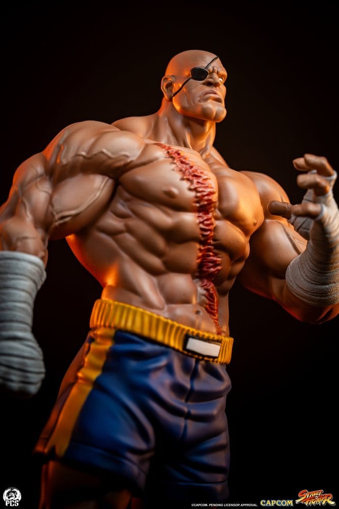 Street Fighter Street Jam Statuen 1/10 Sagat & Juli 24 cm  - Preorder - ETA: 25.02.2027