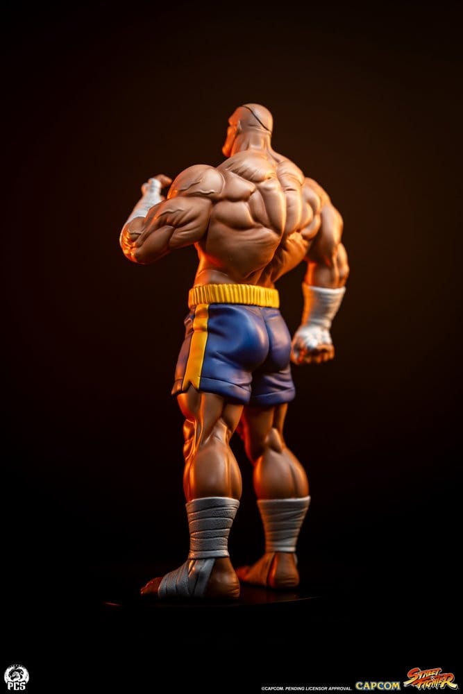 Street Fighter Street Jam Statuen 1/10 Sagat & Juli 24 cm  - Preorder - ETA: 25.02.2027