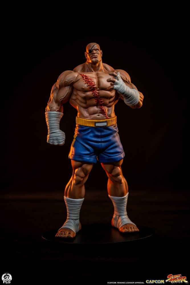 Street Fighter Street Jam Statuen 1/10 Sagat & Juli 24 cm  - Preorder - ETA: 25.02.2027