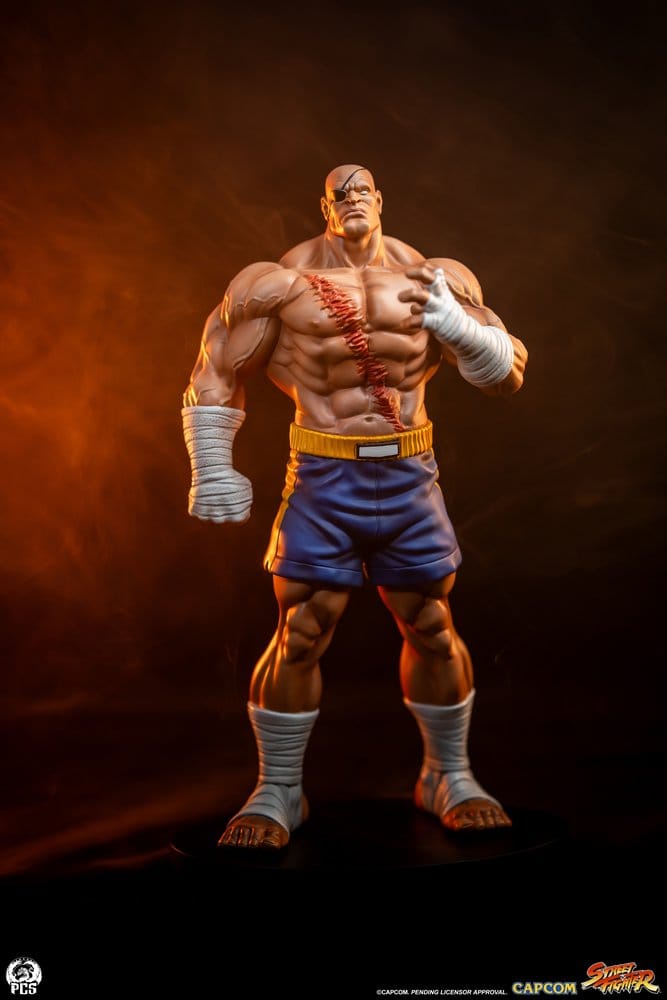 Street Fighter Street Jam Statuen 1/10 Sagat & Juli 24 cm  - Preorder - ETA: 25.02.2027