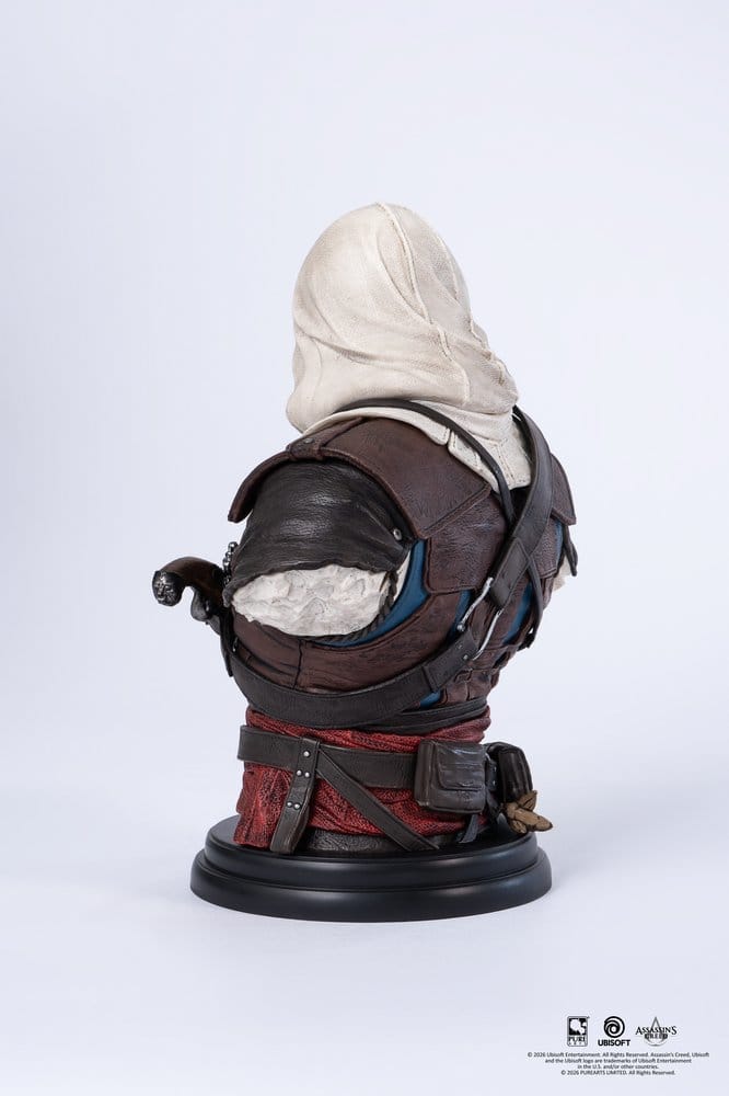 Assassin´s Creed Büste 1/4 Edward - Versand: 7 Tage nach Bestellung