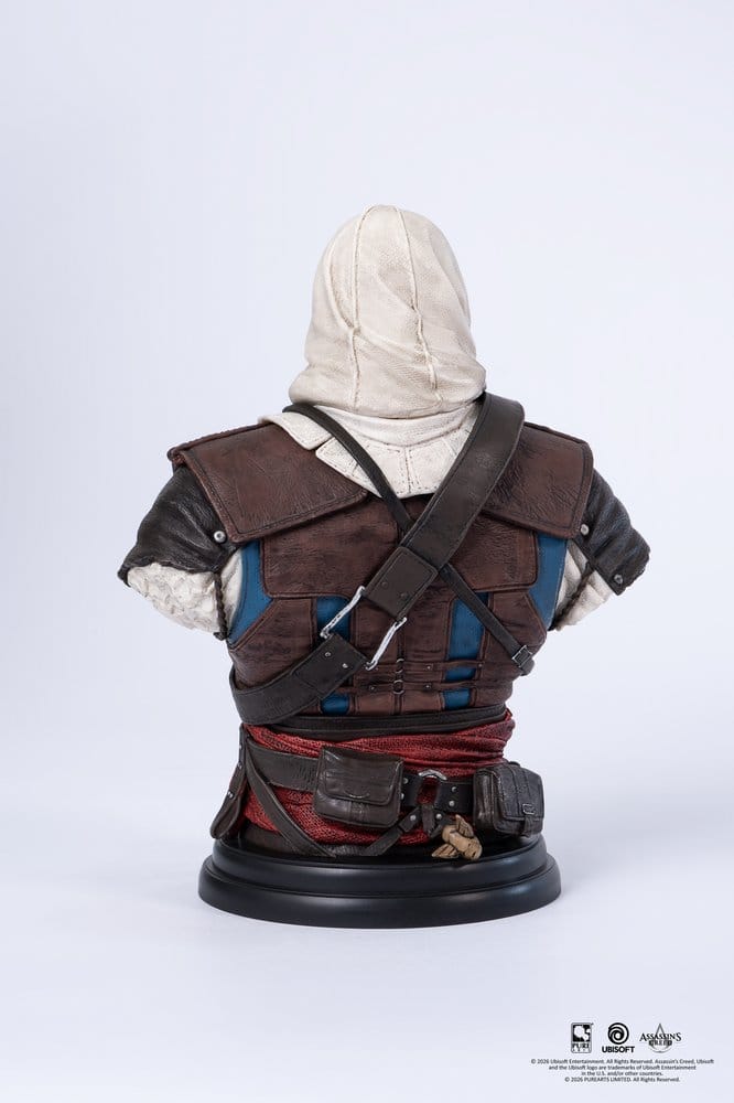 Assassin´s Creed Büste 1/4 Edward - Versand: 7 Tage nach Bestellung