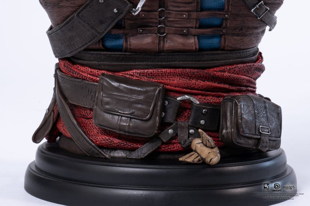 Assassin´s Creed Büste 1/4 Edward - Versand: 7 Tage nach Bestellung