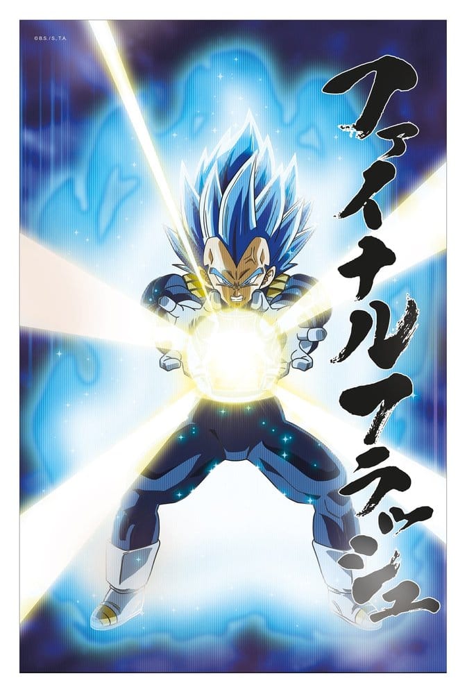 Dragon Ball Super 3D Poster Survival Vegeta 38 x 58 cm  - Versand: 7 Tage nach Bestellung