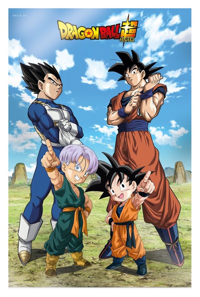 Dragon Ball Super 3D Poster Battle of Gods Goku Vegeta Family 38 x 58 cm  - Versand: 7 Tage nach Bestellung