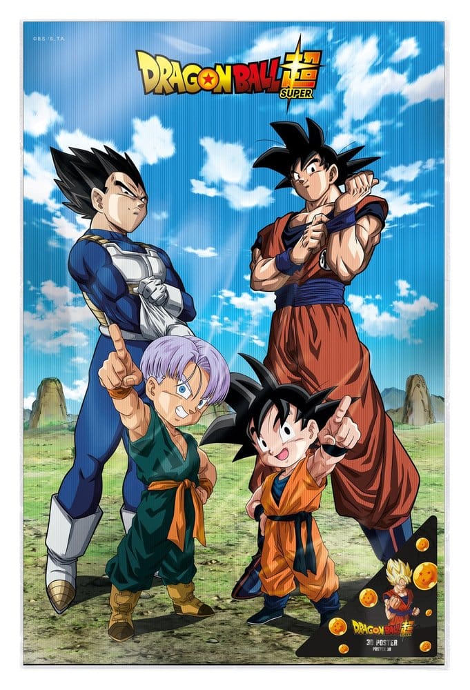 Dragon Ball Super 3D Poster Battle of Gods Goku Vegeta Family 38 x 58 cm  - Versand: 7 Tage nach Bestellung