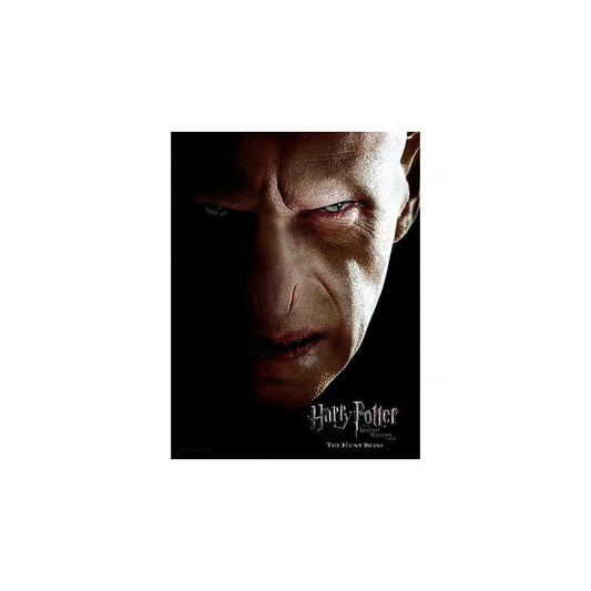 Harry Potter Glasposter Voldemort 30 x 40 cm - Preorder - ETA: 25.12.2025